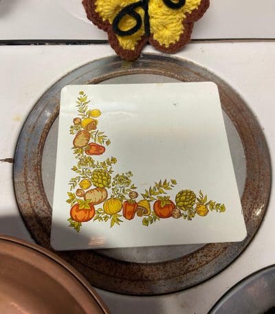 Vintage Hot Pad with Spice of Life Pattern