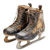 Ice Skates